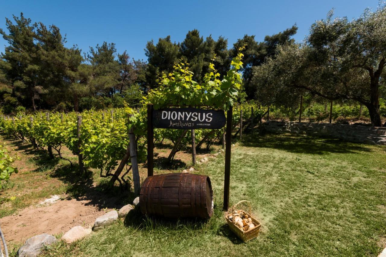 Dionysus Apartments & Suites Ierissós Exterior foto