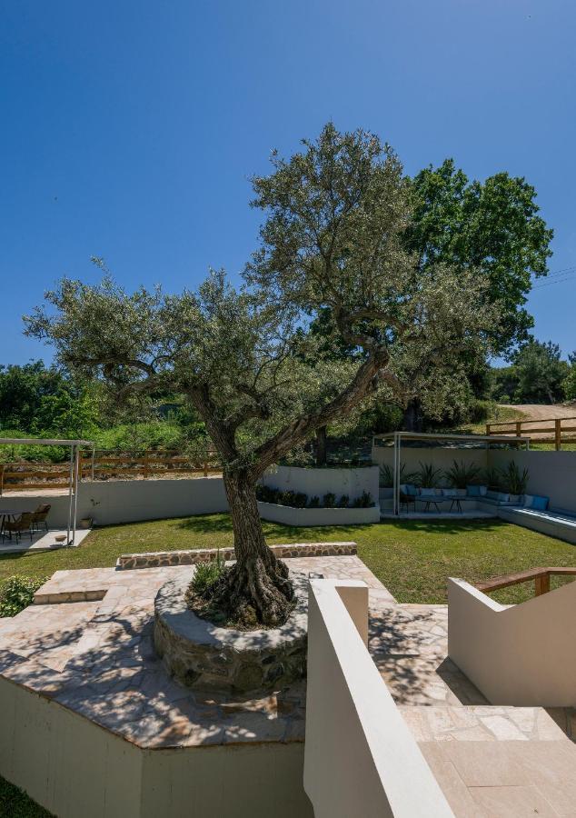 Dionysus Apartments & Suites Ierissós Exterior foto