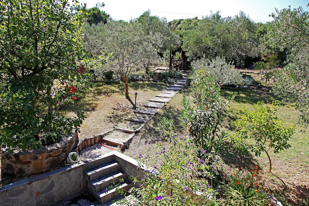 Dionysus Apartments & Suites Ierissós Exterior foto