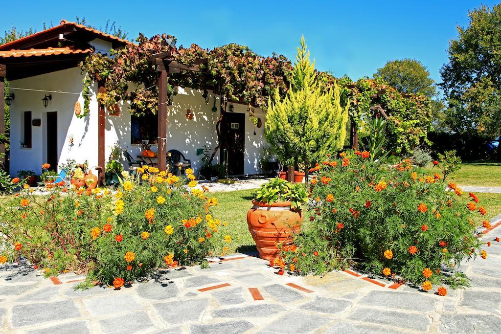 Dionysus Apartments & Suites Ierissós Exterior foto
